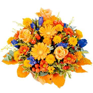 ���ꌧ��R�s���ԉ�����t���[���X�g���傤����